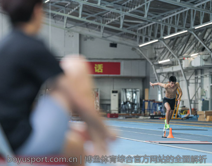 博鱼体育综合官方网站的全面解析