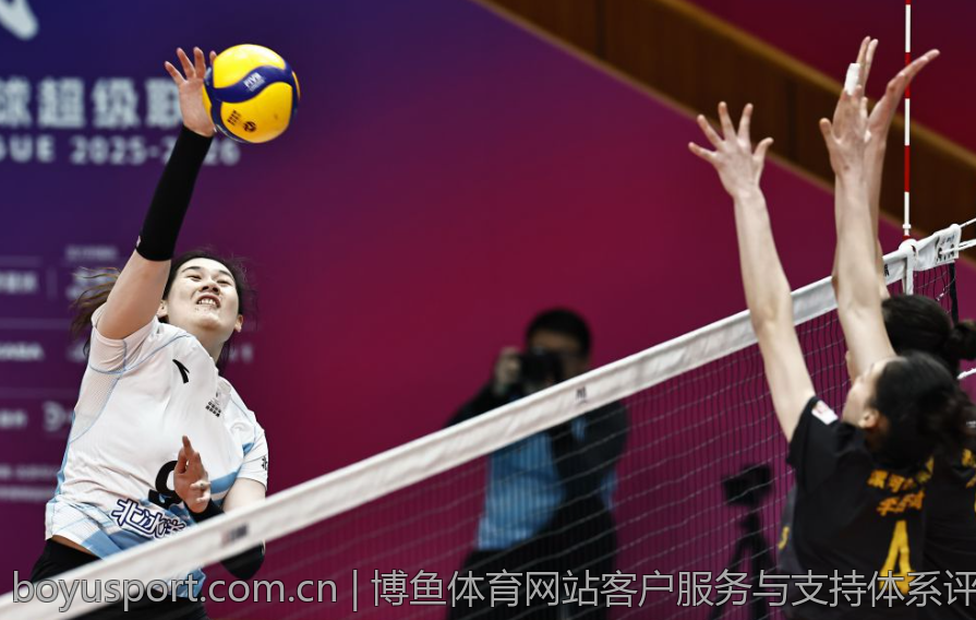 博鱼体育网站客户服务与支持体系评测
